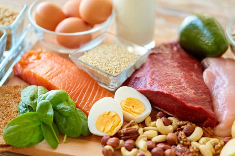 2.1. Những Thực Phẩm Giàu Protein