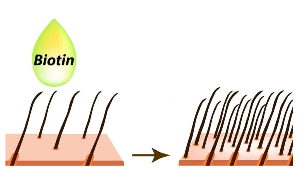 Biotin giúp kích thích mọc tóc