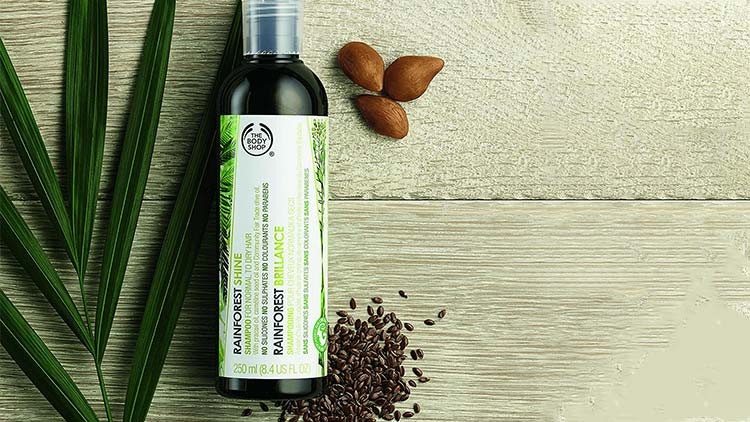 Dầu Gội Rainforest Balance Shampoo The Body Shop