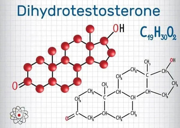 Dihydrotestosterone (DHT) là hormone sinh dục nam