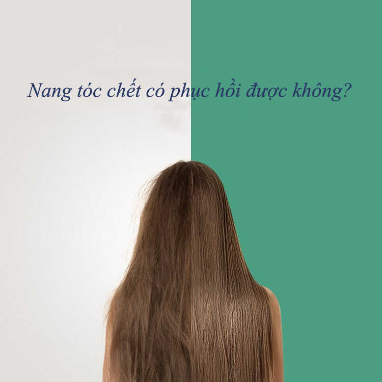 Hồi phục tóc nhuộm có thể không?