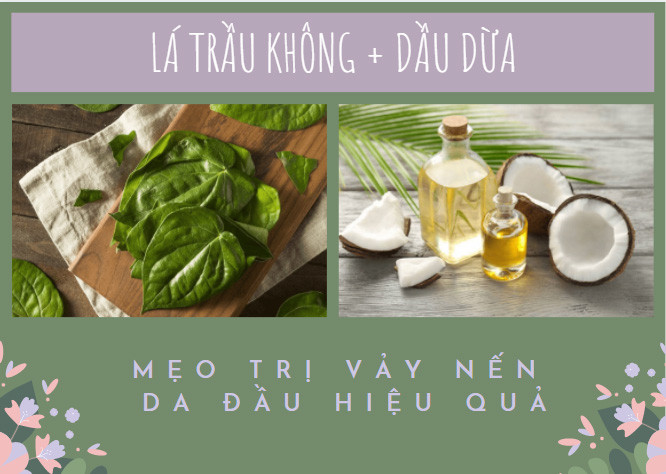 Lá trầu không và dầu dừa