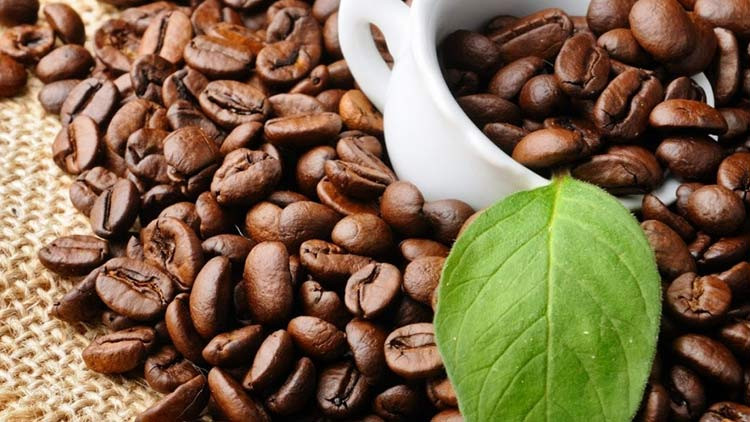 Nhuộm tóc đen bằng cà phê