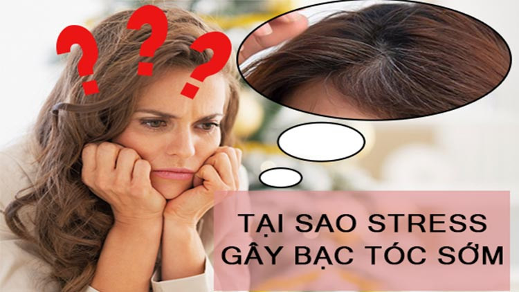 Stress gây tóc bạc sớm