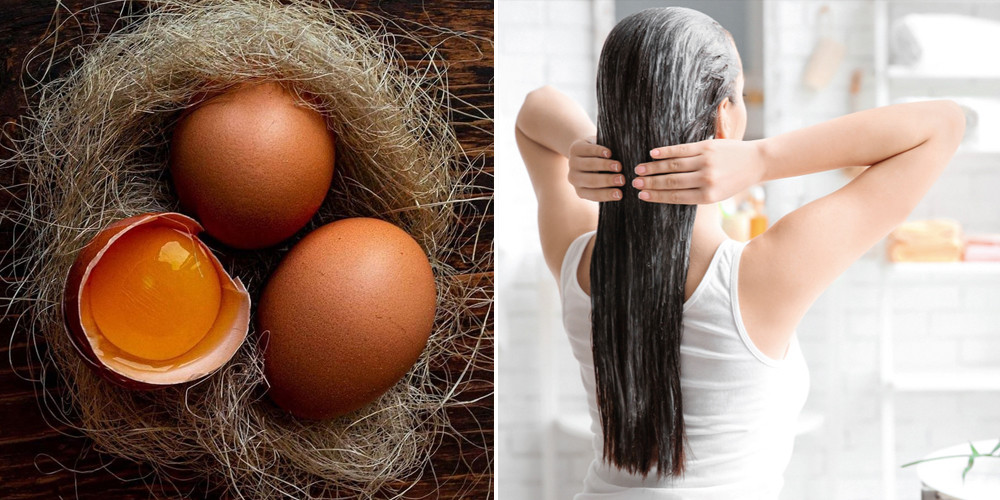 Sử Dụng Lòng Đỏ Trứng Gà