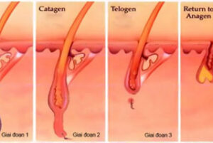 Công Dụng Của Vitamin B1 Trong Chăm Sóc Tóc