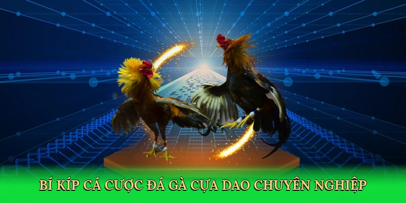 Bí kíp cá cược đá gà cựa dao chuyên nghiệp