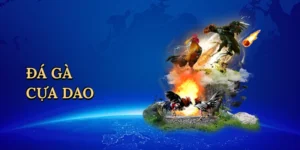 Cách Chơi Bài Tấn – Bí Kíp Làm Chủ Bàn Chơi Cùng Red88