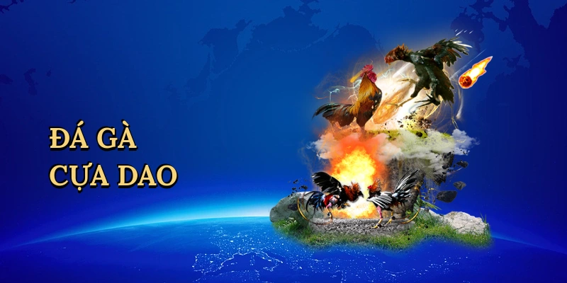 Đá Gà Cựa Dao - Đấu Trường Kịch Tính Tại FI88