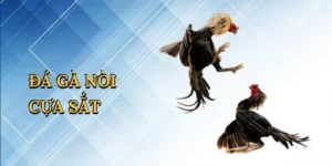 Casino Trực Tuyến – Trải Nghiệm Sòng Bạc Xa Hoa Tại RED88