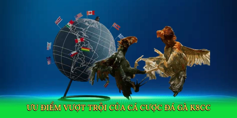Đá Gà Nòi Cựa Sắt – Sàn Đấu Huyền Thoại Cùng K8CC